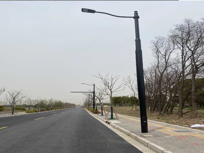 丹棱县上海综合杆 太阳能路灯工程
